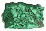 Flowery, Polished Malachite Slab - DR Congo #264838-1